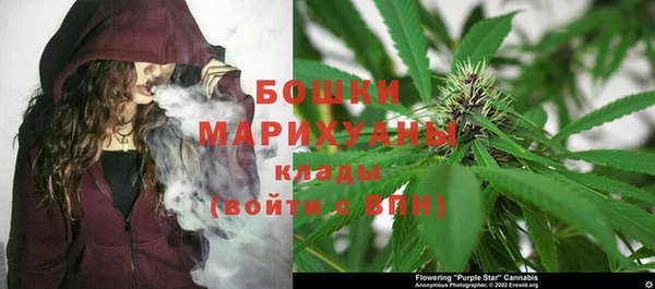 2c-b Касимов