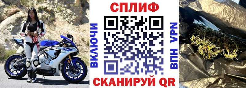 Купить где  Новосокольники  Канабис White Widow 